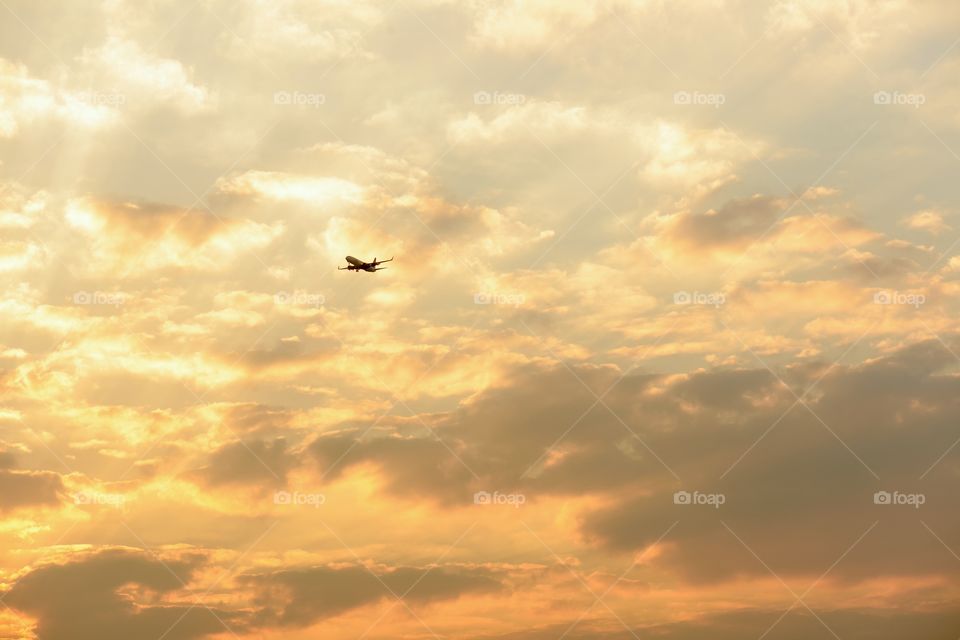 Airplane flying in sky