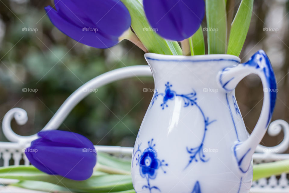 purple tulips in vase
