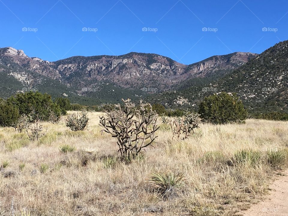 Sandia mountains