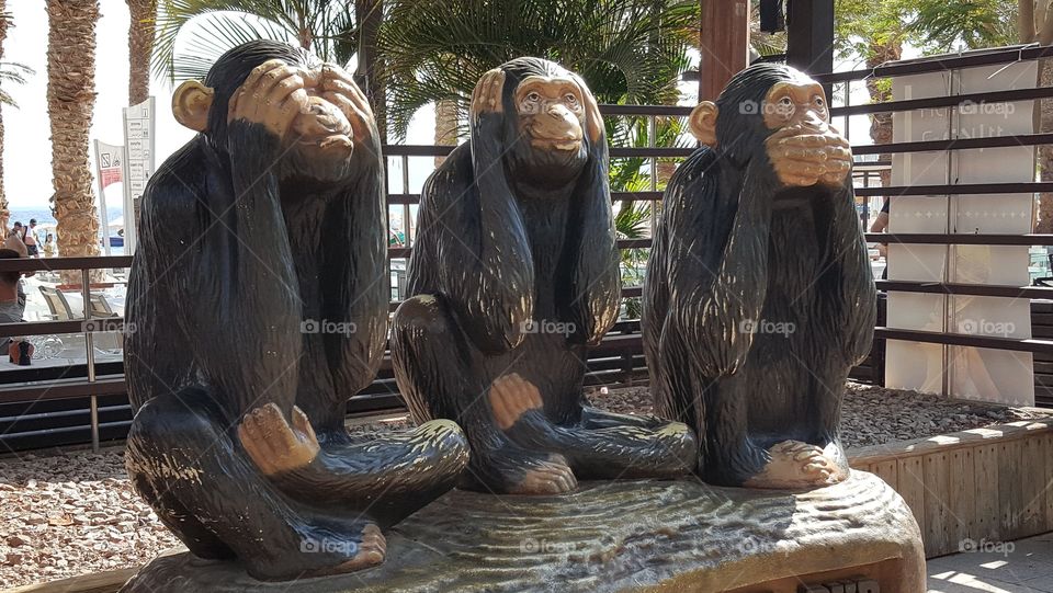 A Three Monkeys Group