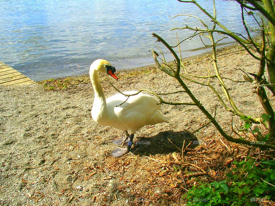 Around Windermere, UK