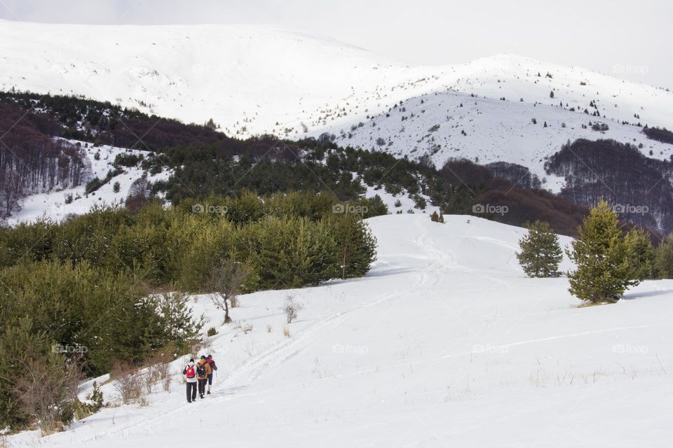 Hikers in the winter mountain