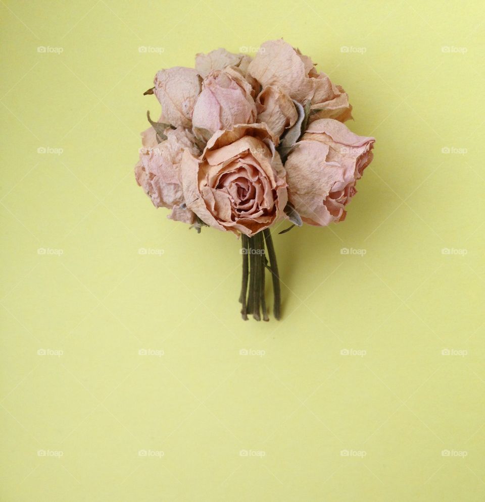 bouquet on yellow background 