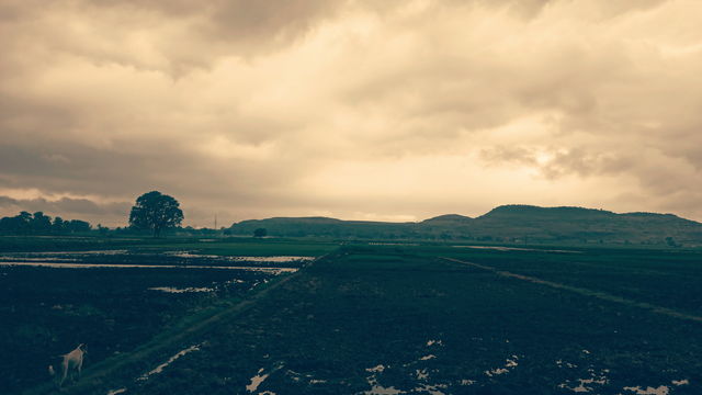 natural India