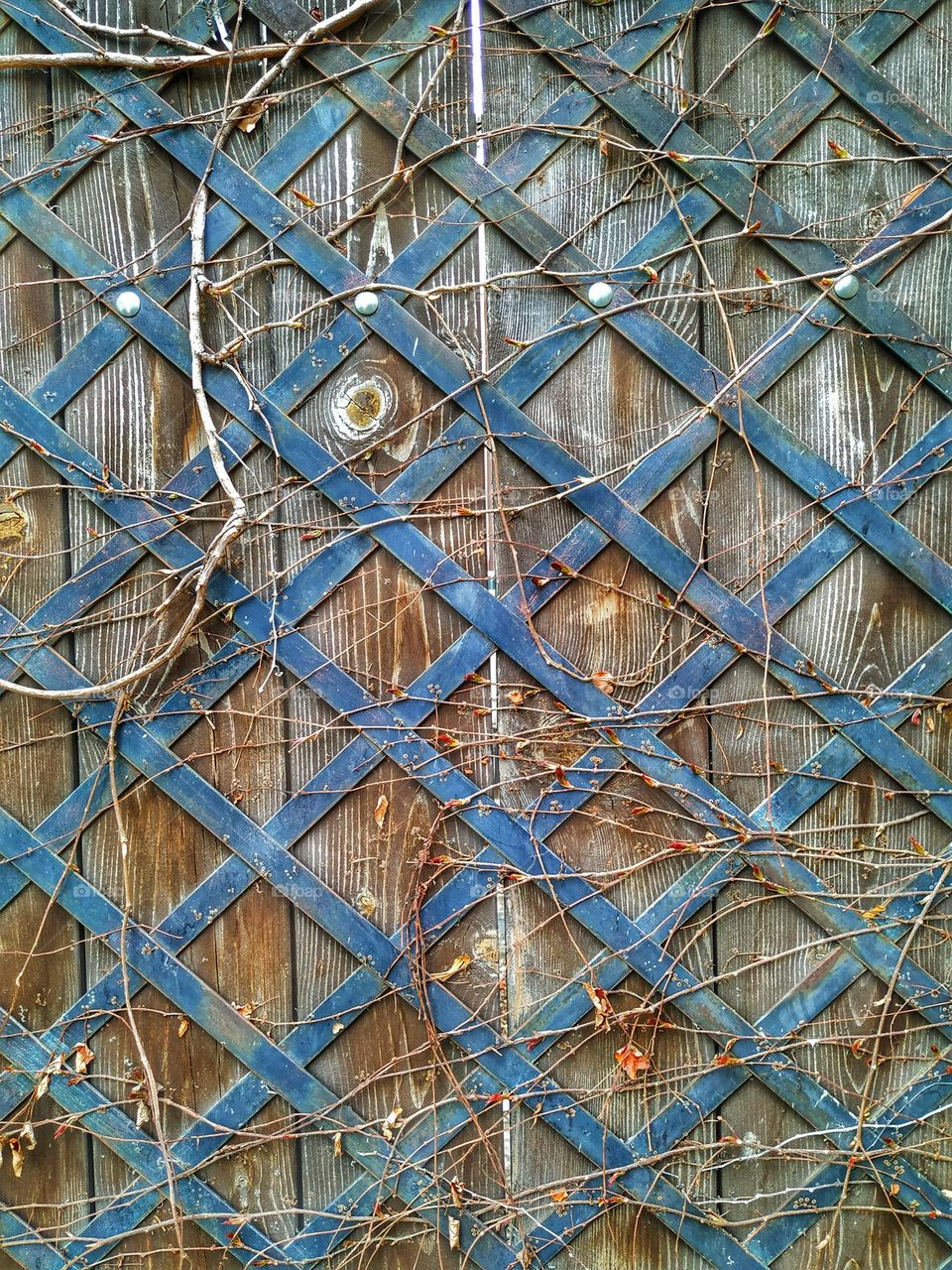 metal Grid