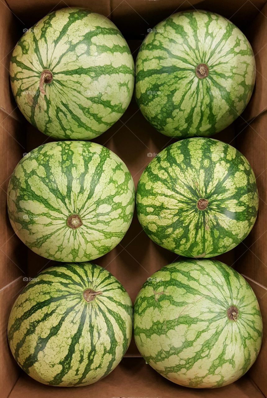 Close-up of watermelon