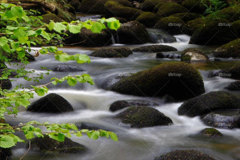 River Bovey