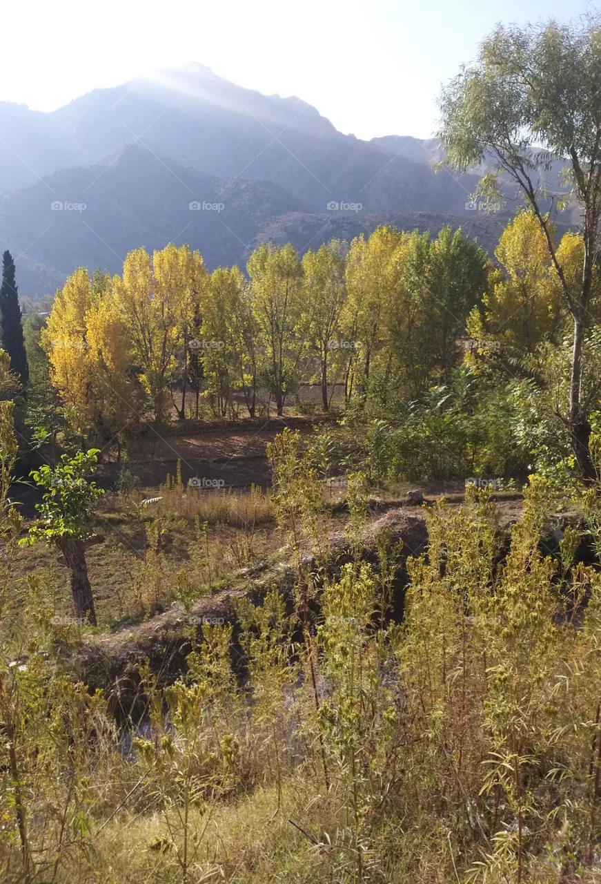 autumn time