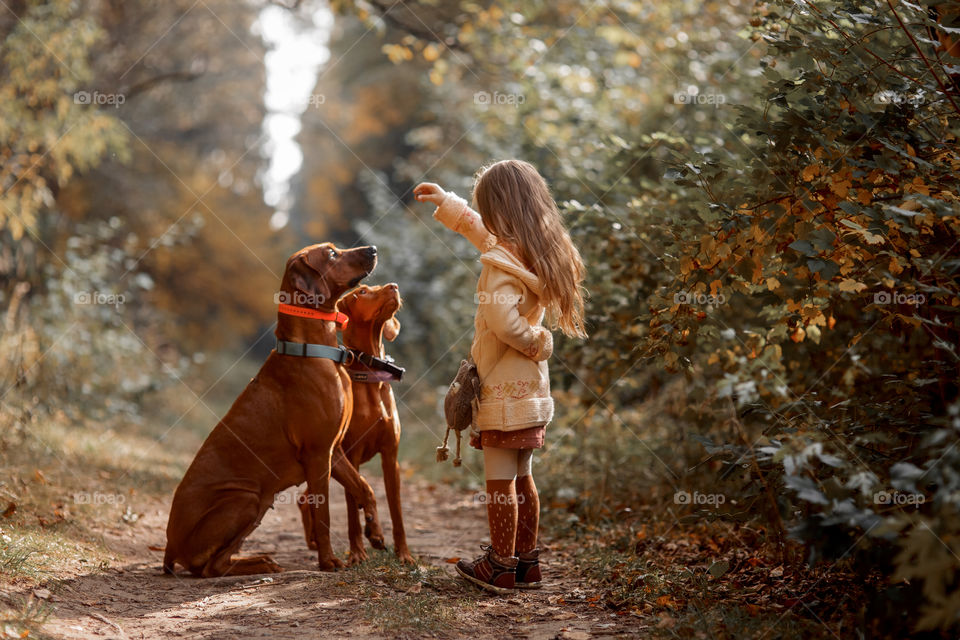 Little girl playing with dogs in an autumn park