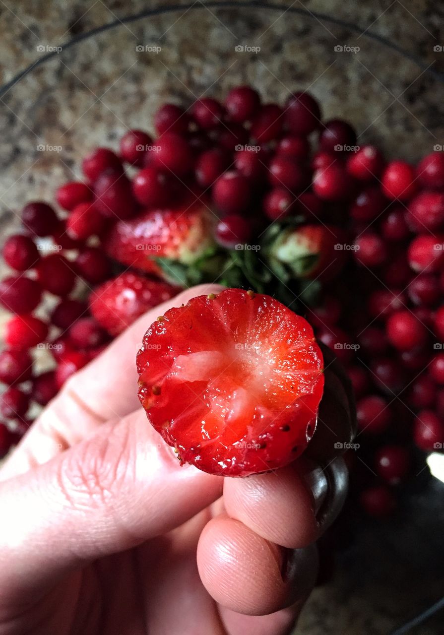Red fruits in natural afternoon light