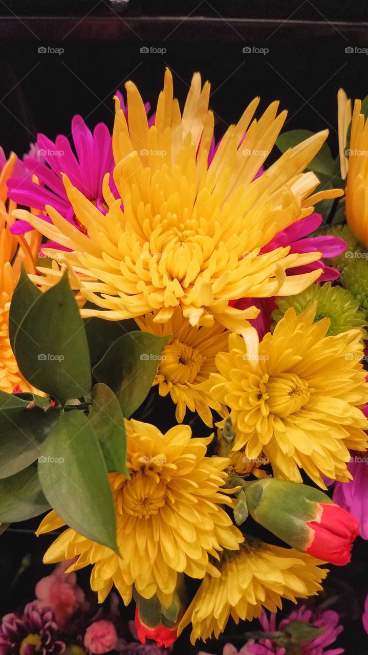 A cluster of yellow and pink flowers