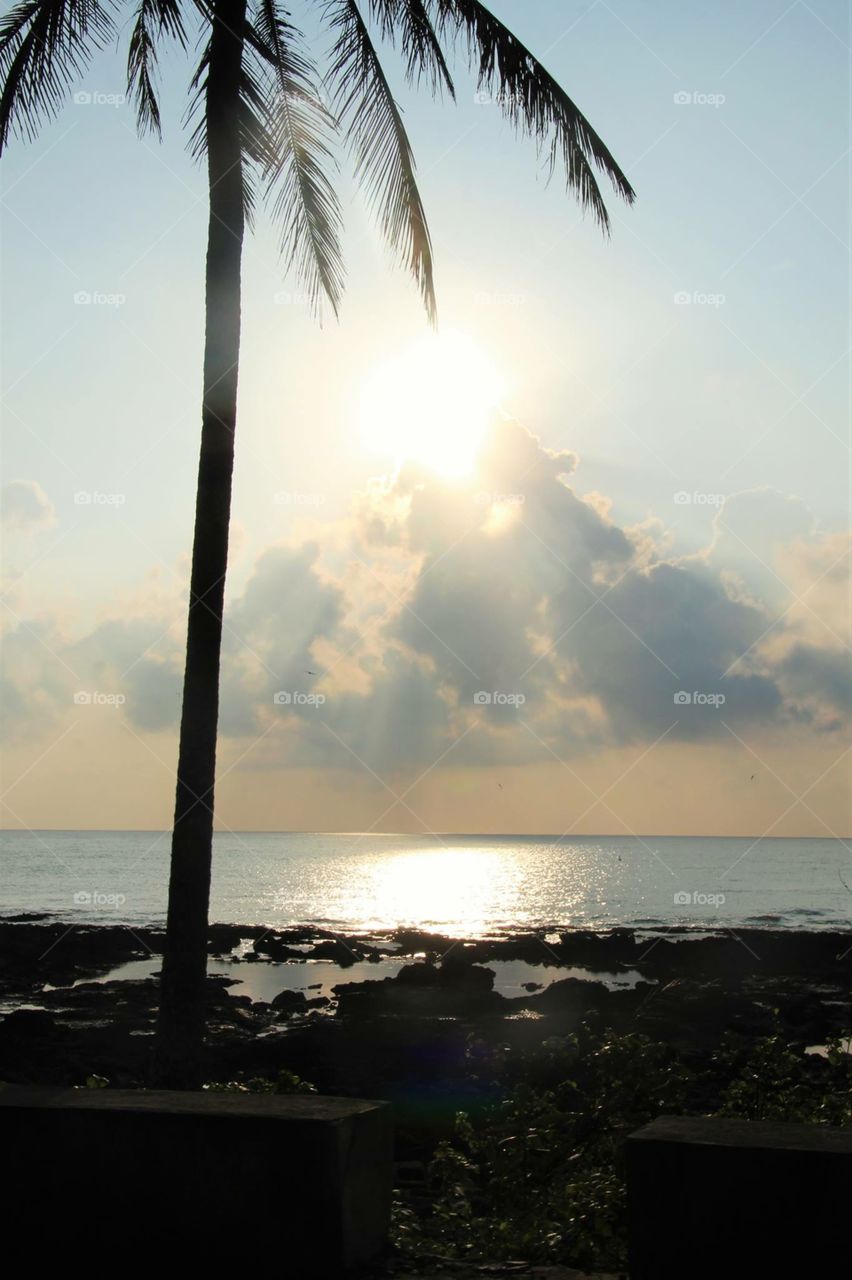 Beach Scene