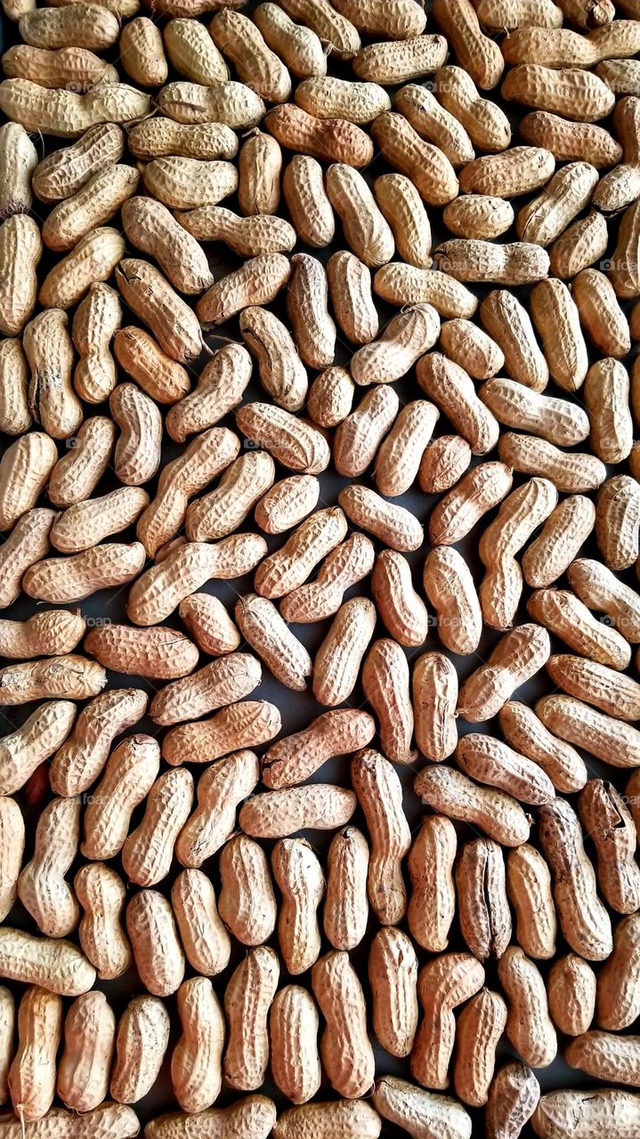 roasted peanuts ready for the squirrels, blue jays and woodpeckers