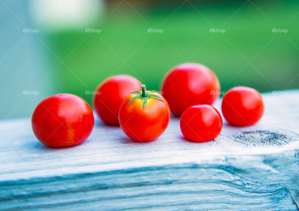 tomato tomattto