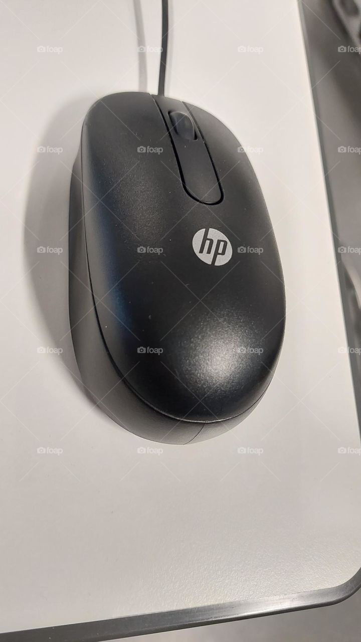 computer mouse