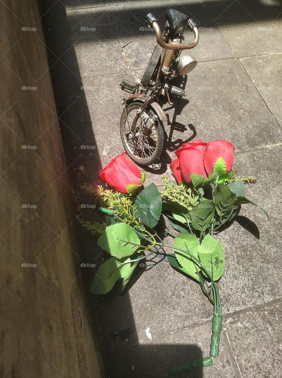 Bicycles and roses symbolize love