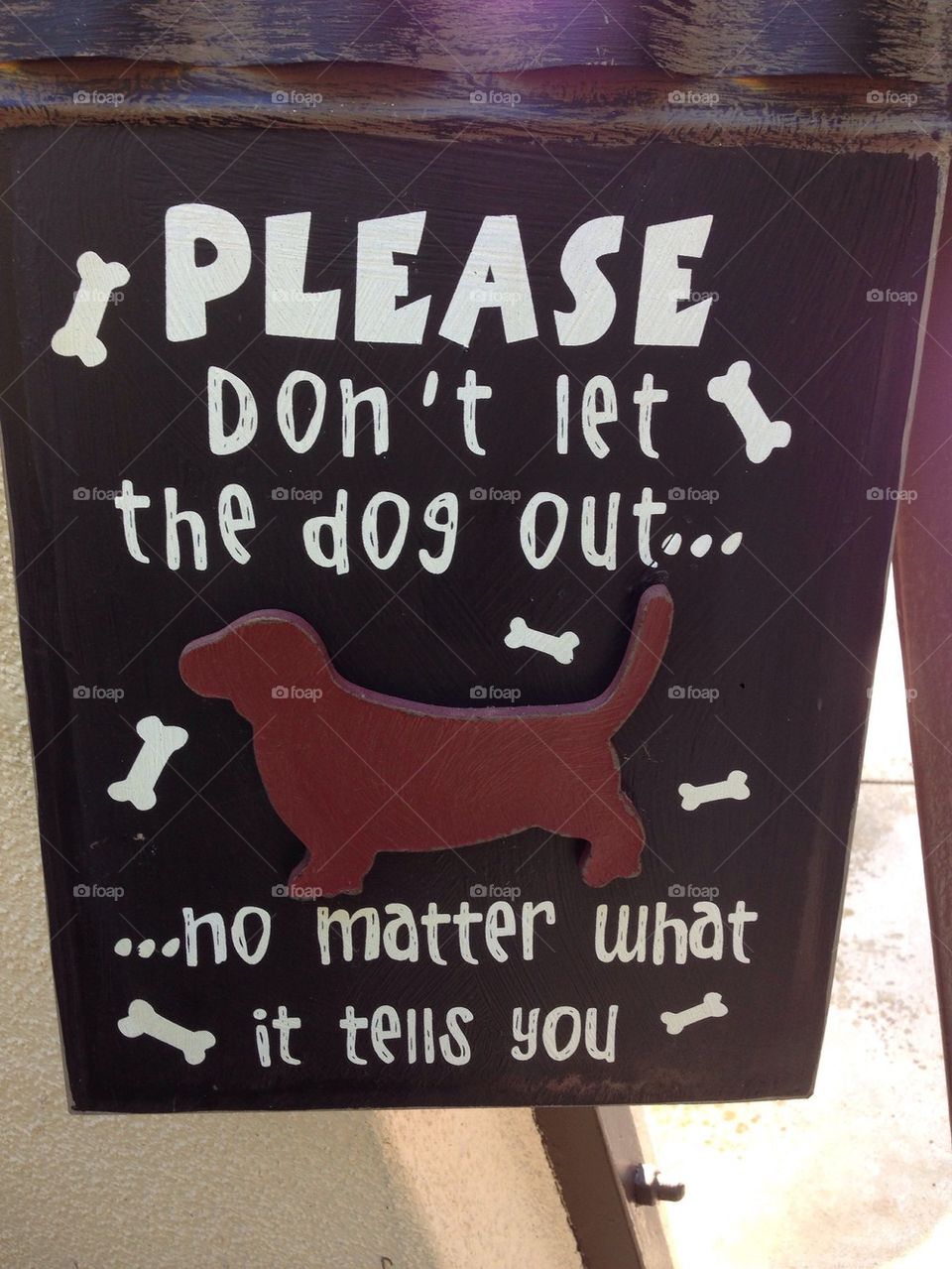 Dog warning sign