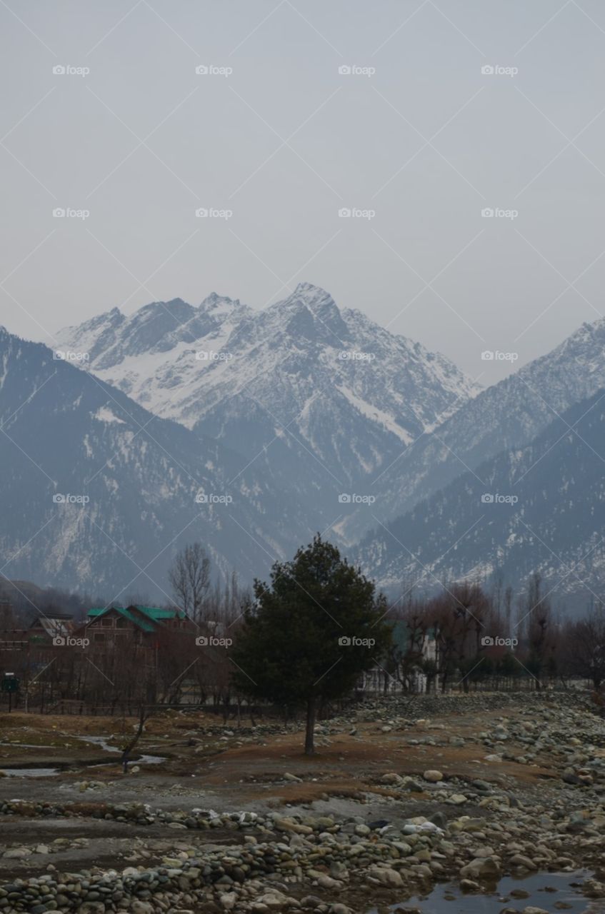 Kashmir