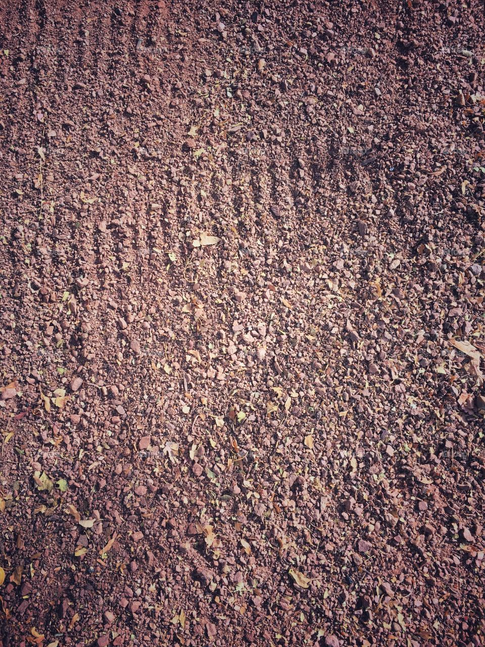 Rake tracks on gravel 