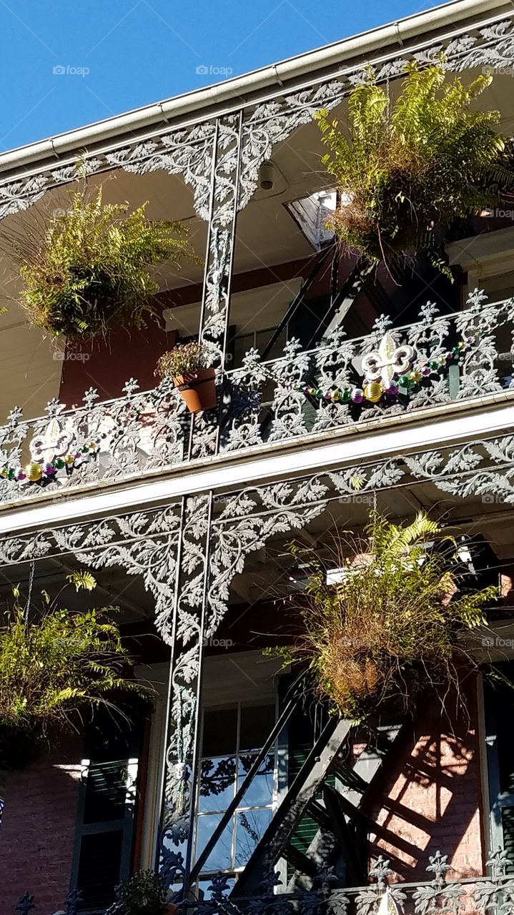 Balconies of New Orleans