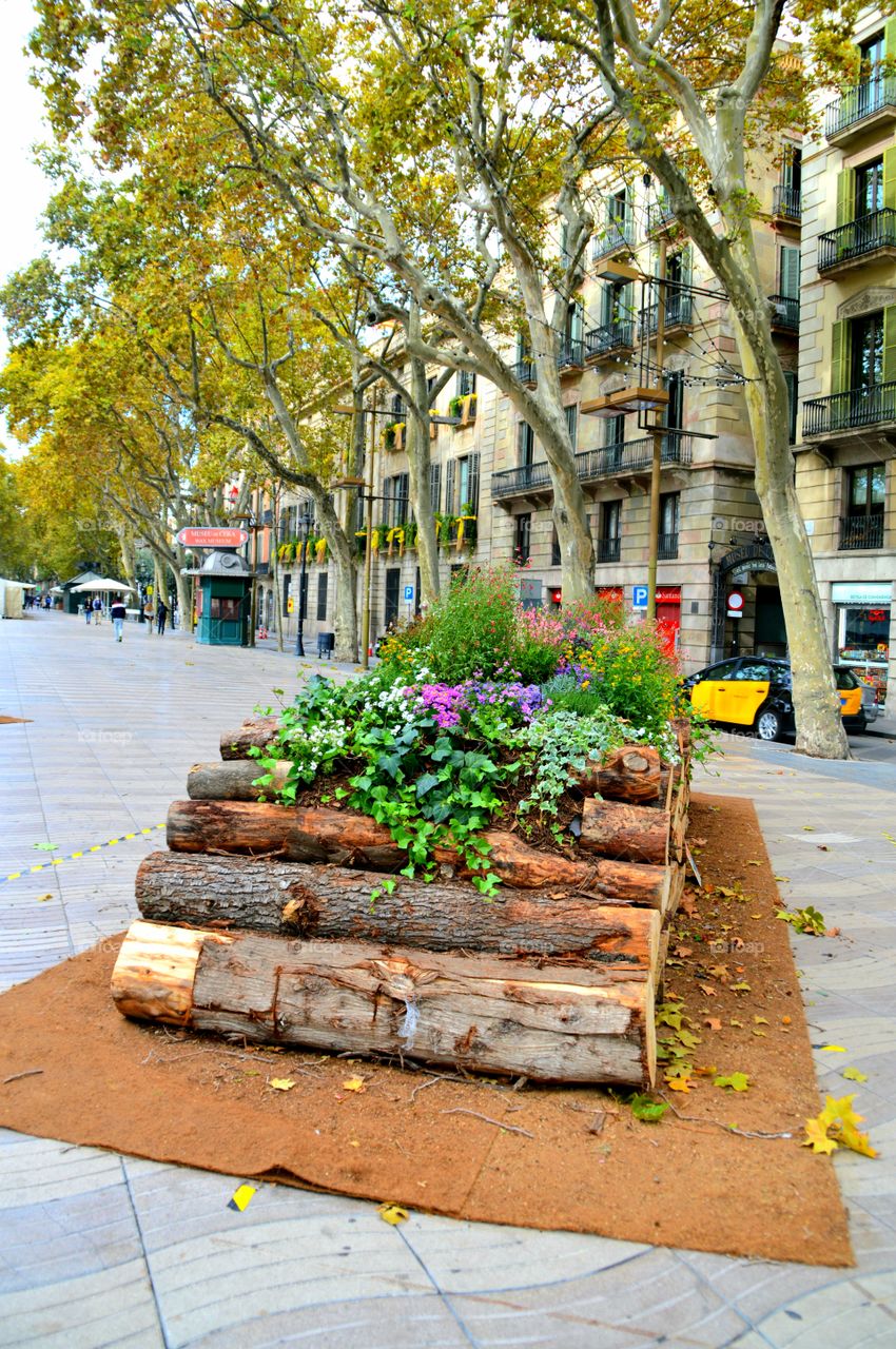 La Rambla /Barcelona