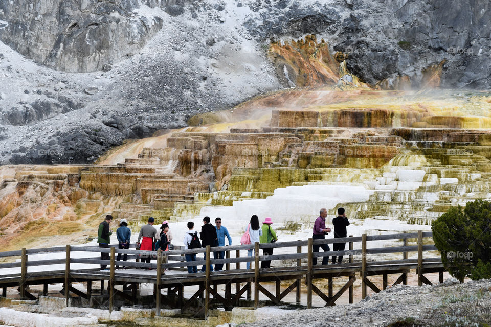 Visiting Yellowstone National Park in Wyoming