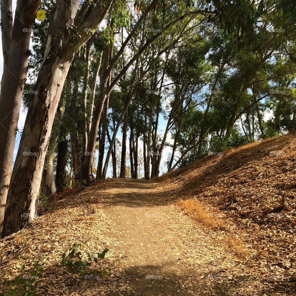 Orange County trails 