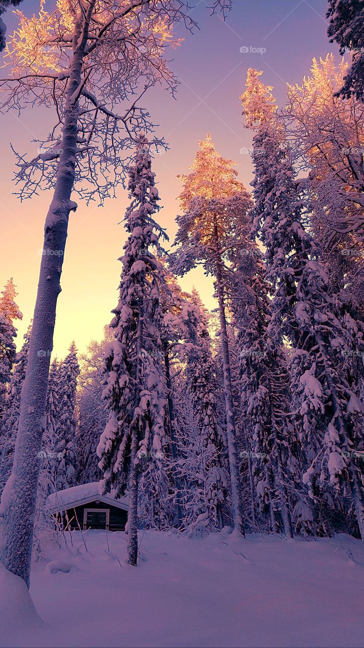 where the sun never Shines