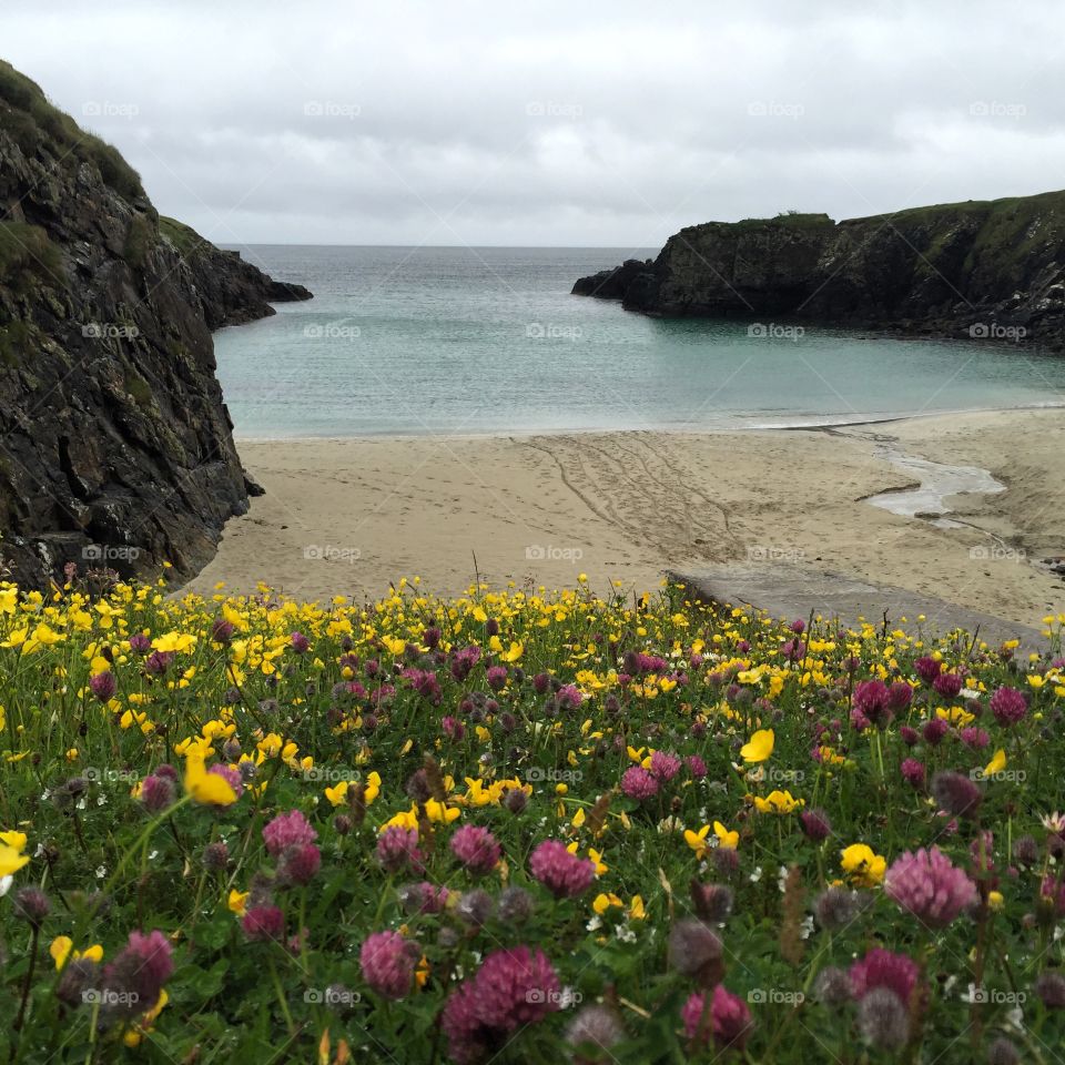 Beach colours. 