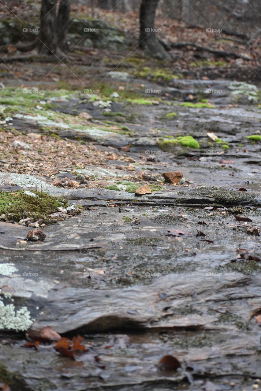 Water, Nature, River, Fall, Stream
