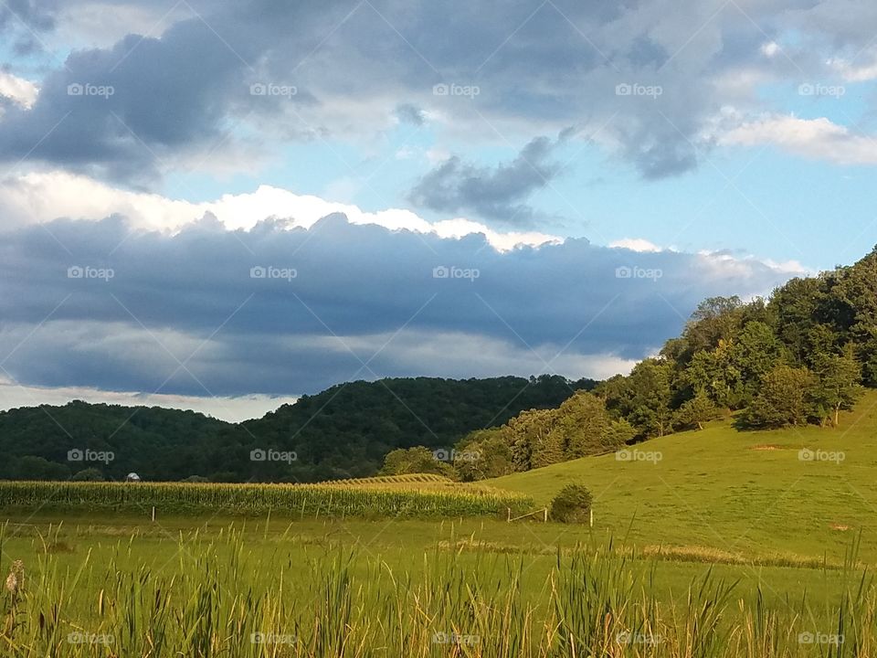 Driving the Back Roads and enjoying everything around us