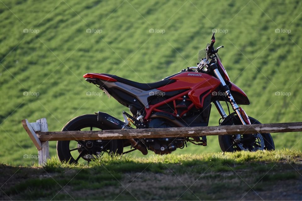 Ducati motorcycle at edge of Virginia farm