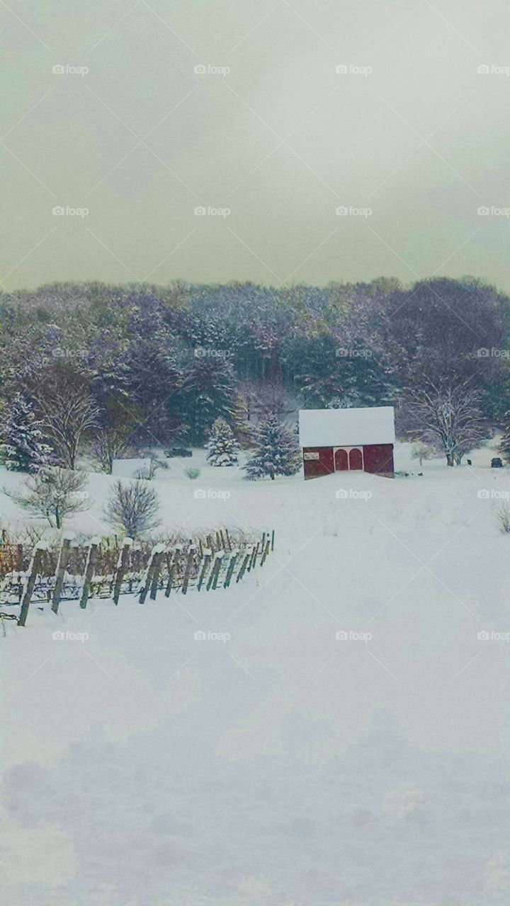 Rural winter with red barn