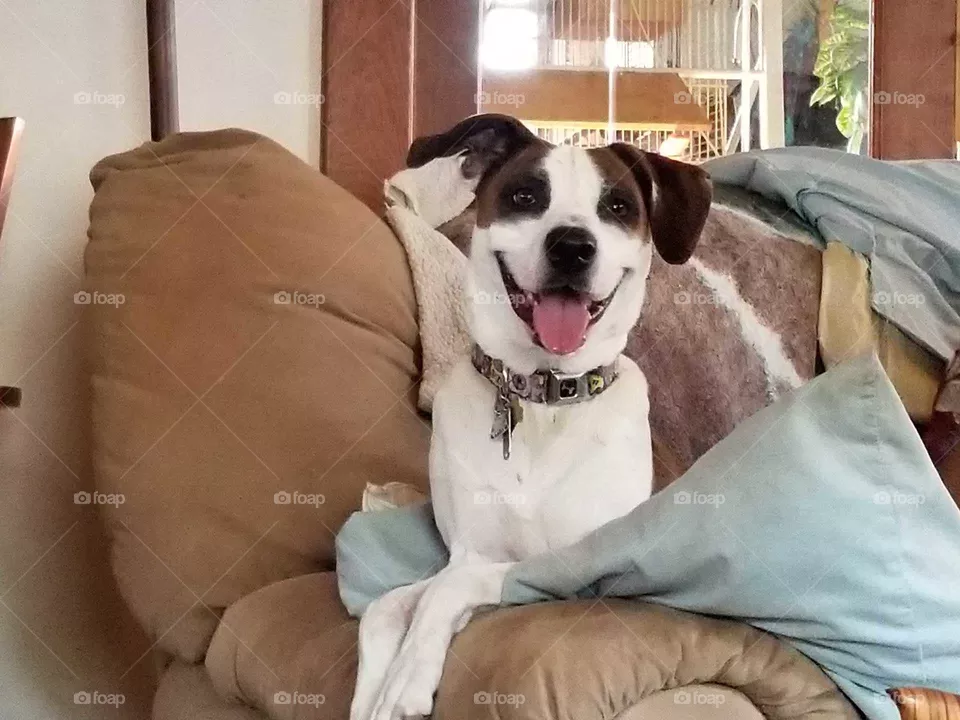 smile!