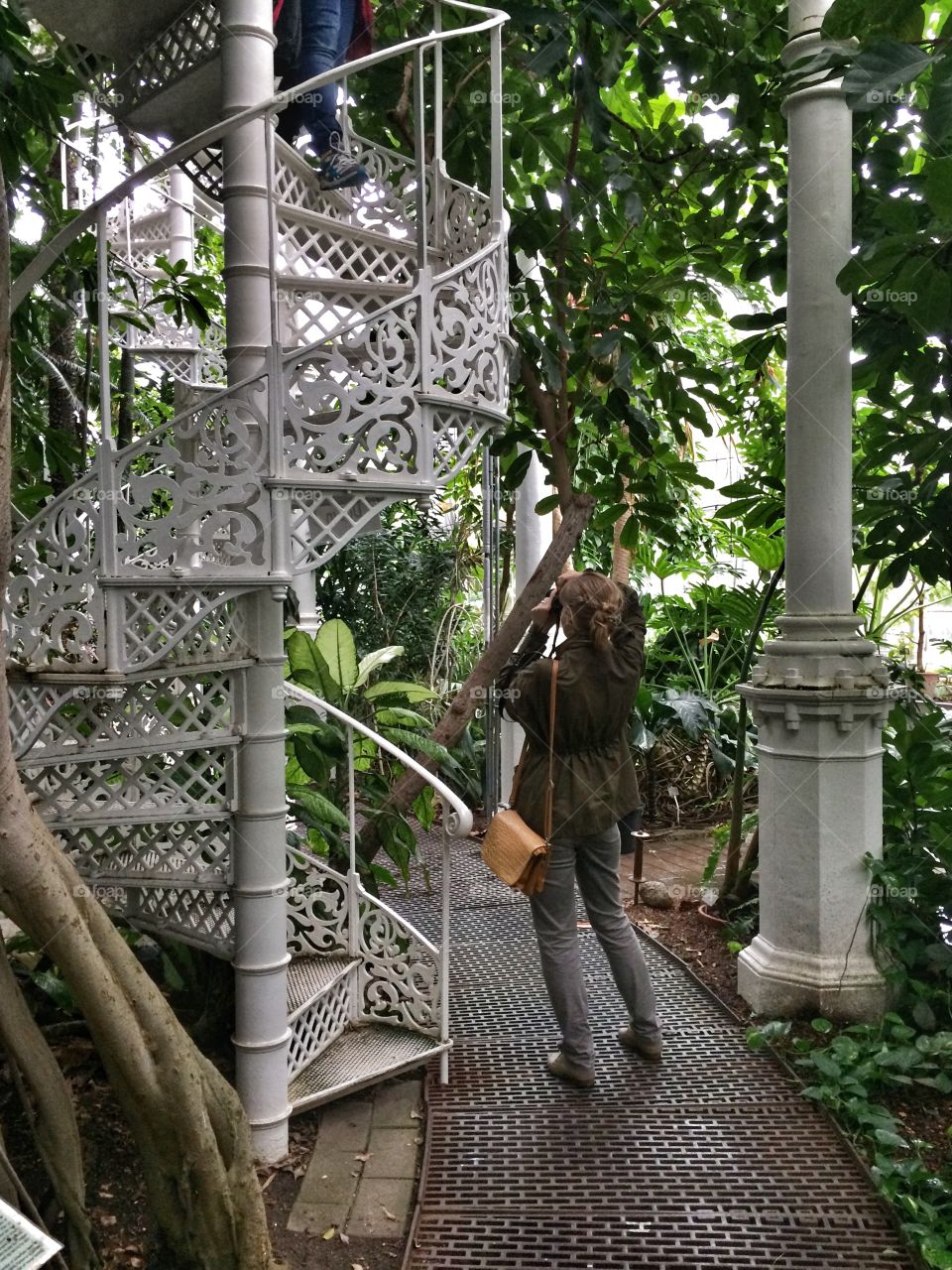 Getting lost in the Denmark botanical garden 