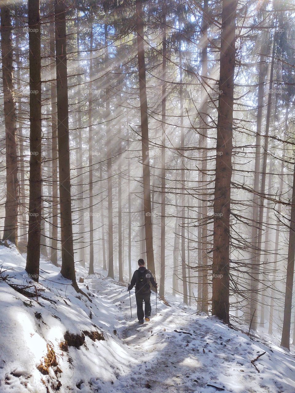 man walking in the forest during winter