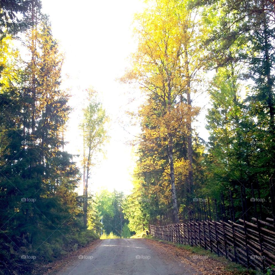 On the way home from work