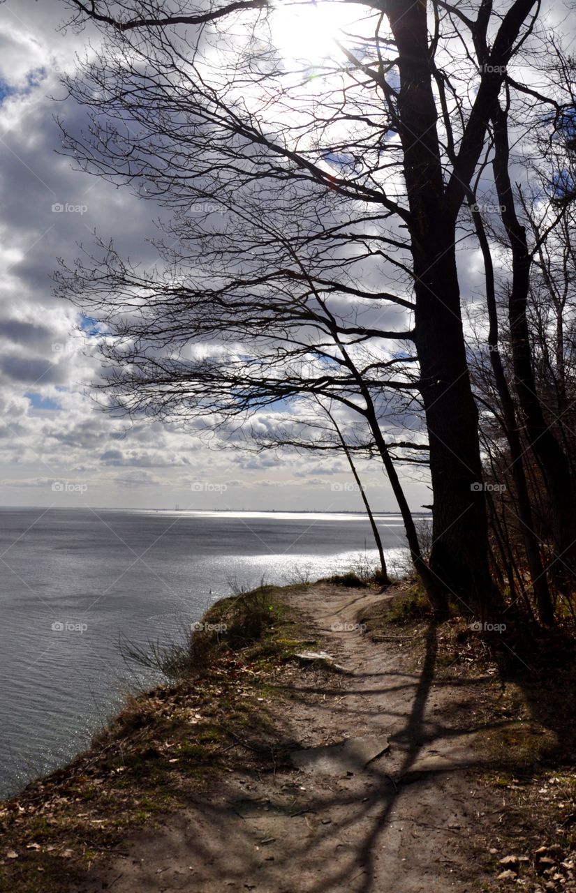 Landscape, Nature, Tree, Water, No Person