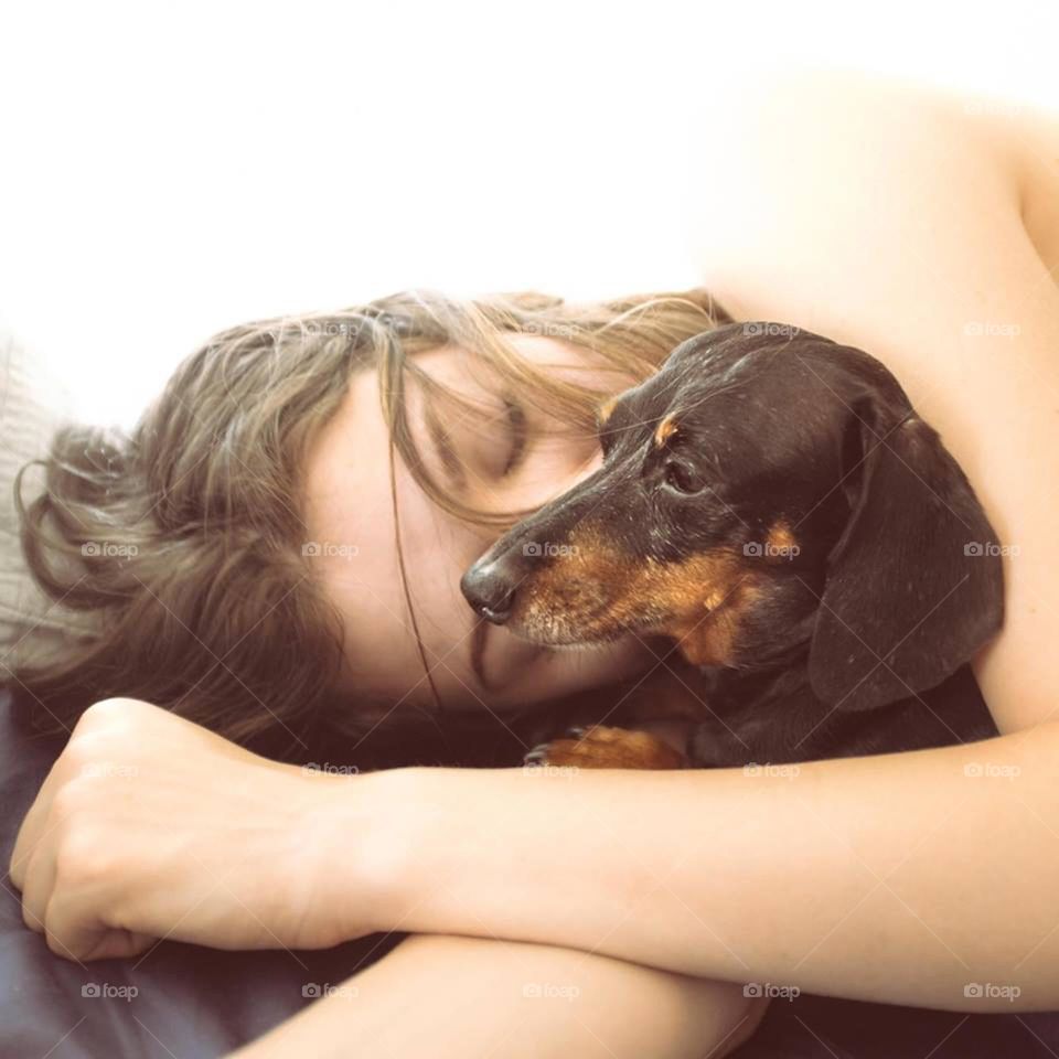 Pretty cute Daschund and girl snuggle for warmth in the morning 