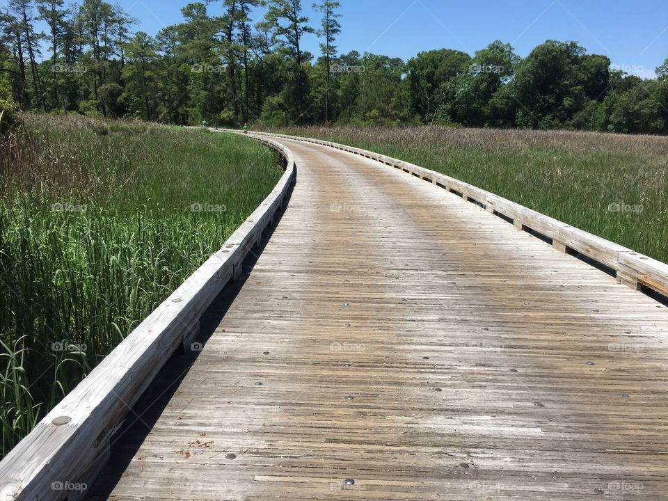 On the bridge