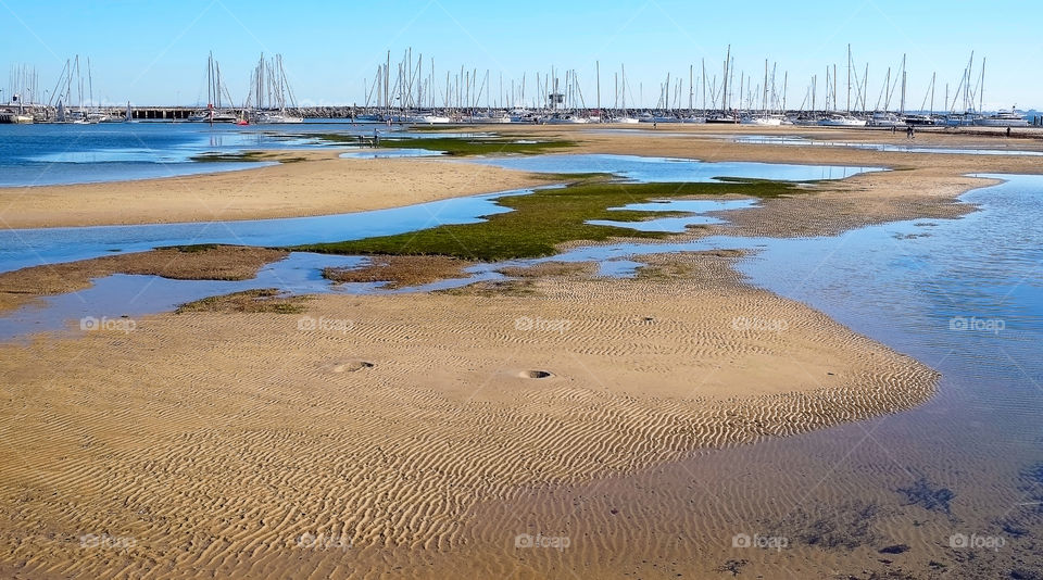 Charm of the shallows