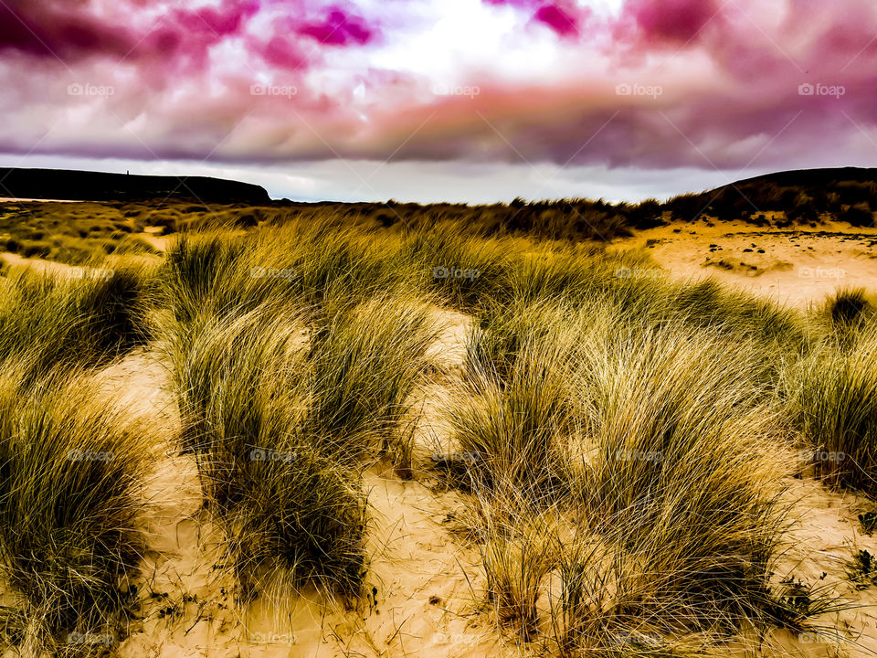 Sand dunes