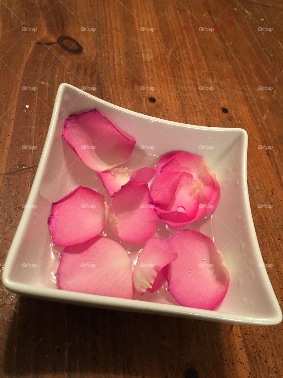 Rose petals floating in water