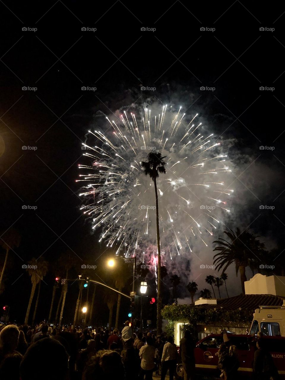 4th of July fireworks lighting up a palm tree in Santa Barbara CA