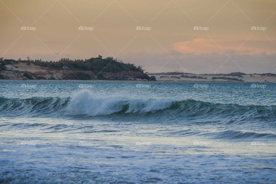 baía dos golfinhos 🌴🐬