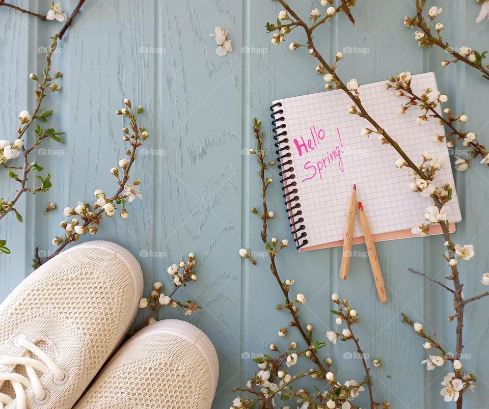 branches of flowering trees and a notebook with pencils.