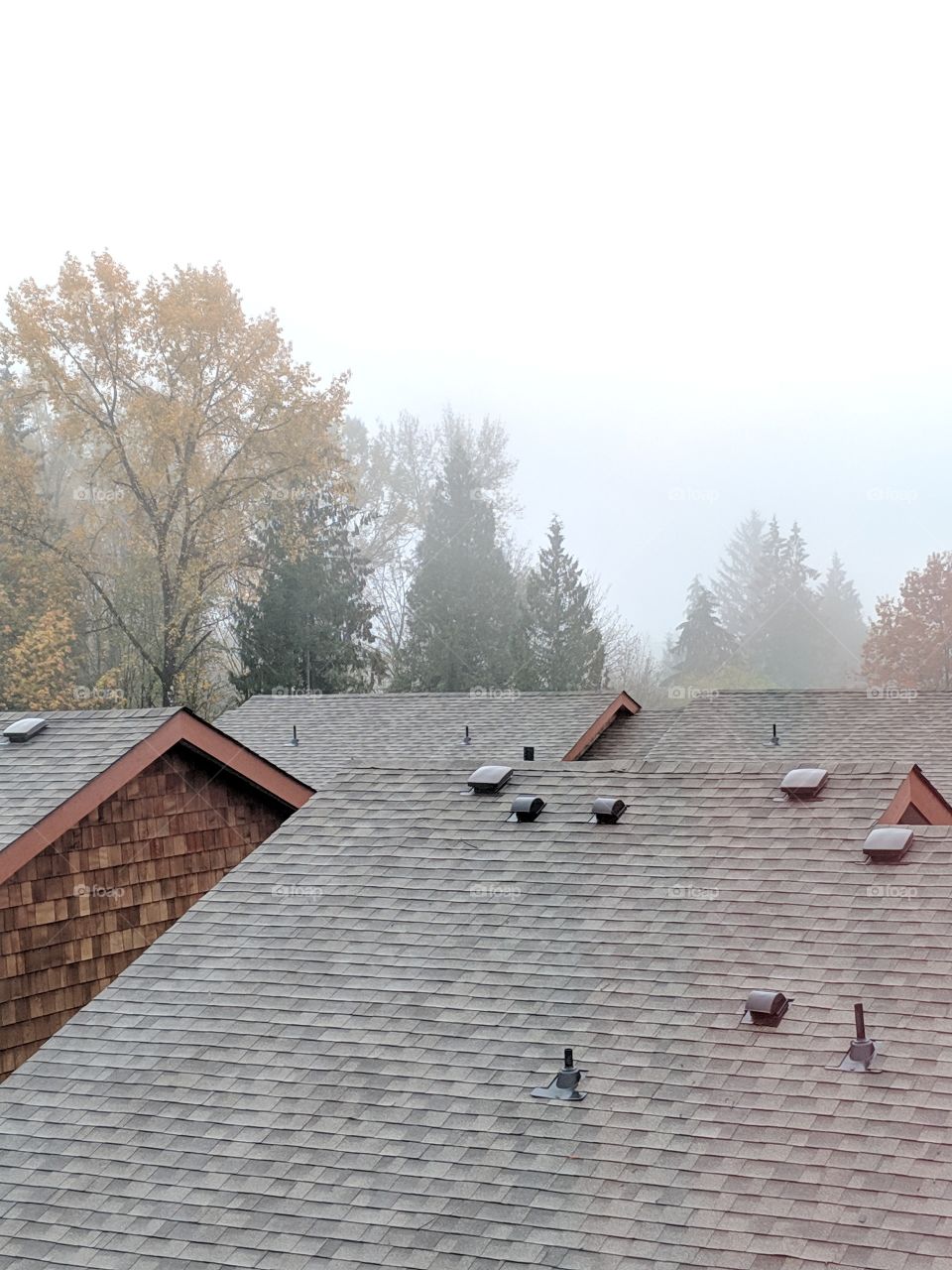 rooftops in the fall. Ochre,  toasted almond mushroom color palette. foggy dreamy mood.