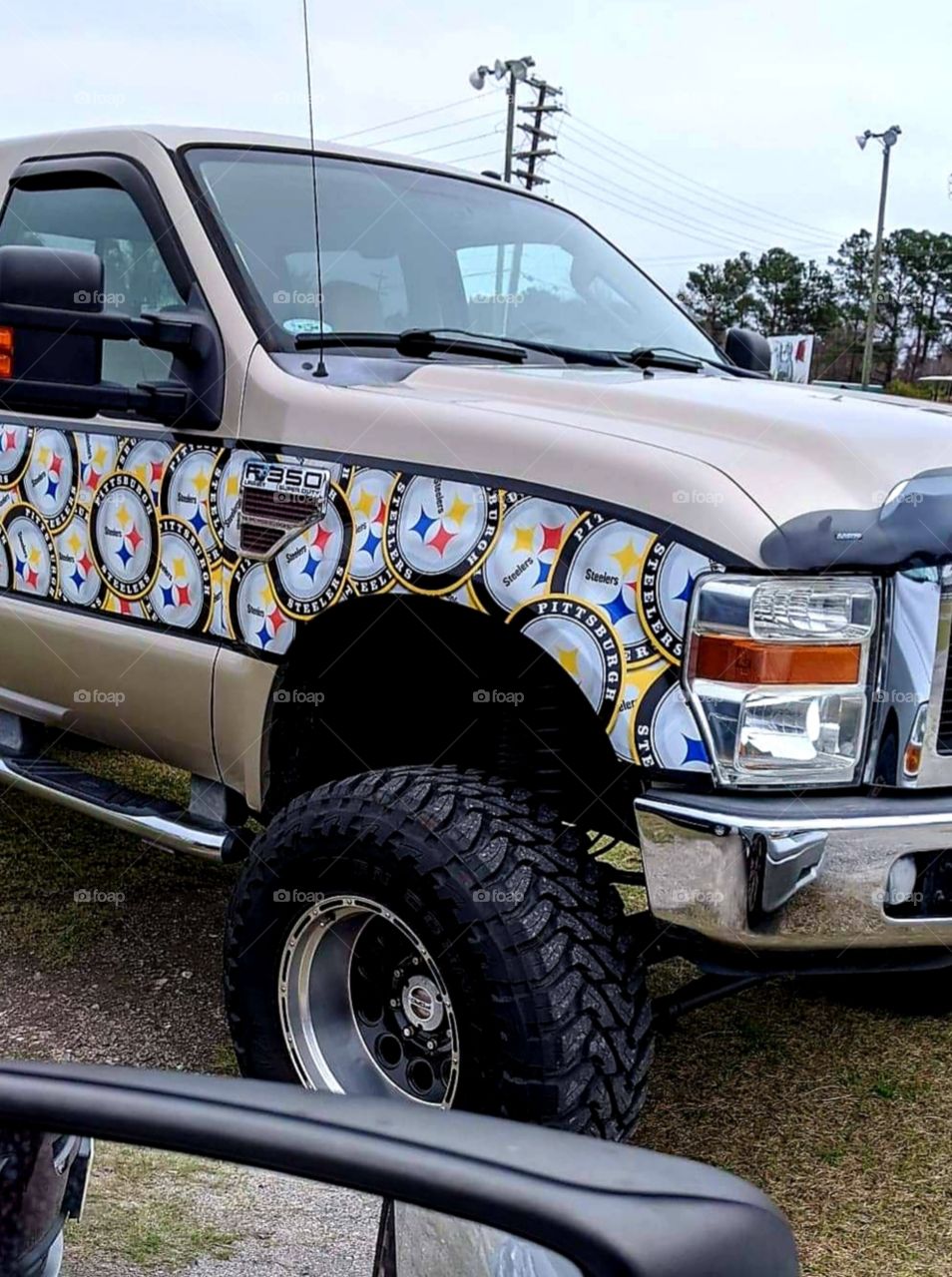 Steelers fans...ya think