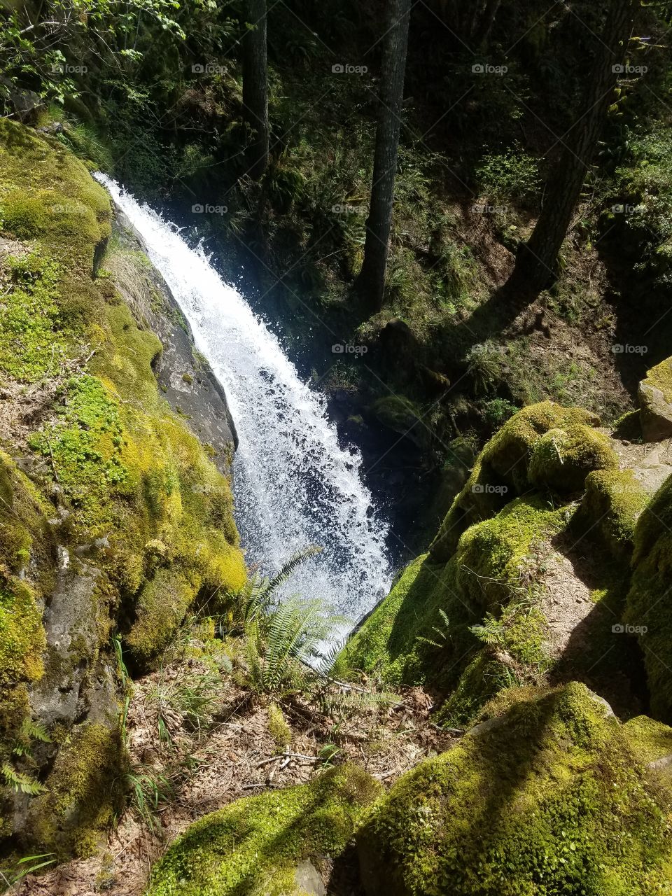 a gorgeous hike in the beautiful pnw.