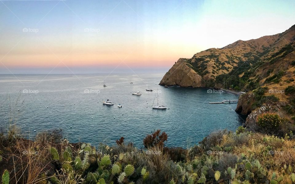 Catalina Island cove